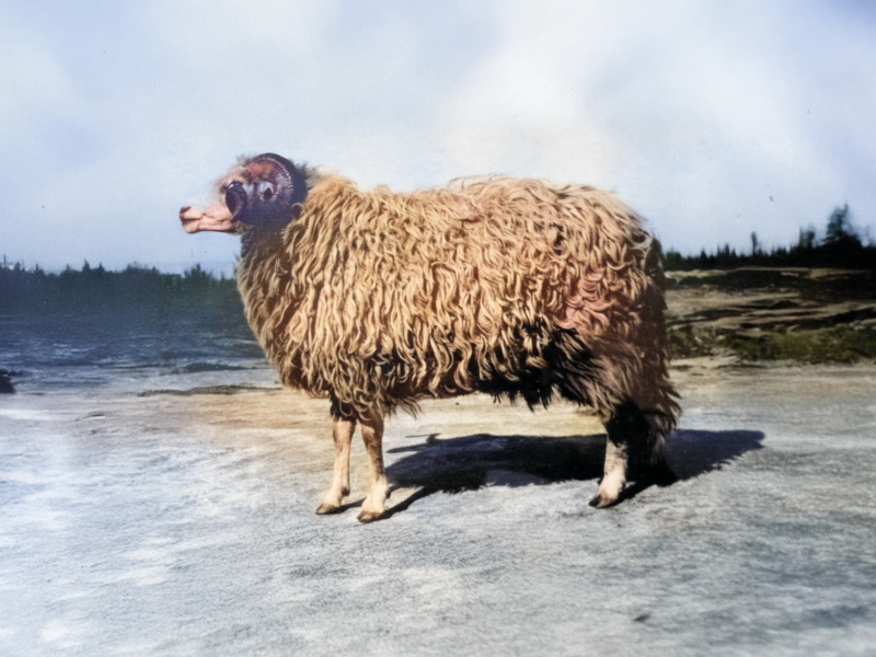 Captura de ecrã 2024-10-21 145626